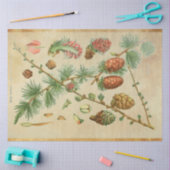 クリスマスパインデクページ紙 薄葉紙 (クラフト)