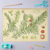 クリスマスパインデクページ紙 薄葉紙 (クラフト)