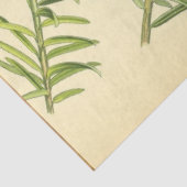 クリスマスパインデクページ紙 薄葉紙 (詳細)