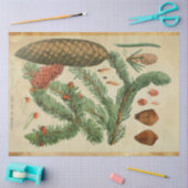 クリスマスパインデクページ紙 薄葉紙 (クラフト)