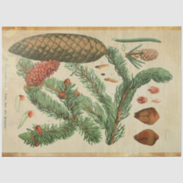 クリスマスパインデクページ紙 薄葉紙