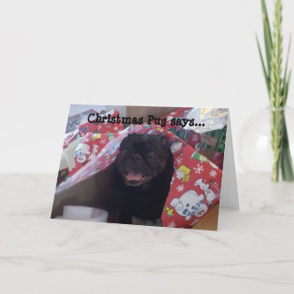 クリスマスパグクリスマスカード シーズンカード