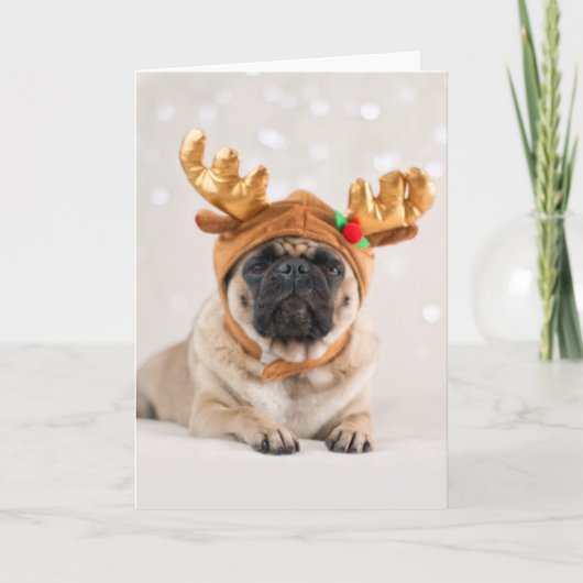 クリスマスパグ シーズンカード (正面)