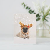クリスマスパグ シーズンポストカード (スタンド正面)