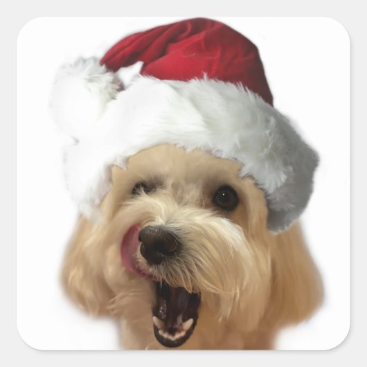 クリスマスパピーのステッカーシート！ スクエアシール (正面)