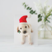 クリスマスパピー – かわいいラブラドールのポートレート シーズンポストカード (スタンド正面)