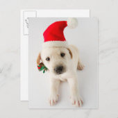 クリスマスパピー – かわいいラブラドールのポートレート シーズンポストカード (正面/裏面)