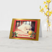 クリスマスパピー、キストマスカード カード (黄色い花)