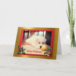 クリスマスパピー、キストマスカード カード