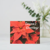 クリスマスパンのお祝いポストカード シーズンポストカード (スタンド正面)