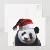 クリスマスパンダのクマ シーズンポストカード (正面/裏面)