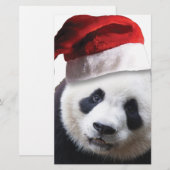 クリスマスパンダのクマ 便箋 (正面/裏面)