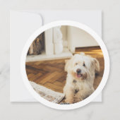 クリスマスパーソナライズされたの毛皮と明るい写真 シーズンカード (裏面)