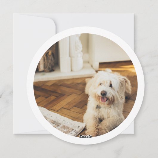 クリスマスパーソナライズされたの毛皮と明るい写真 シーズンカード (裏面)