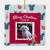 クリスマスパーソナライズされた飾りペットの飼い主 セラミックオーナメント (裏面)