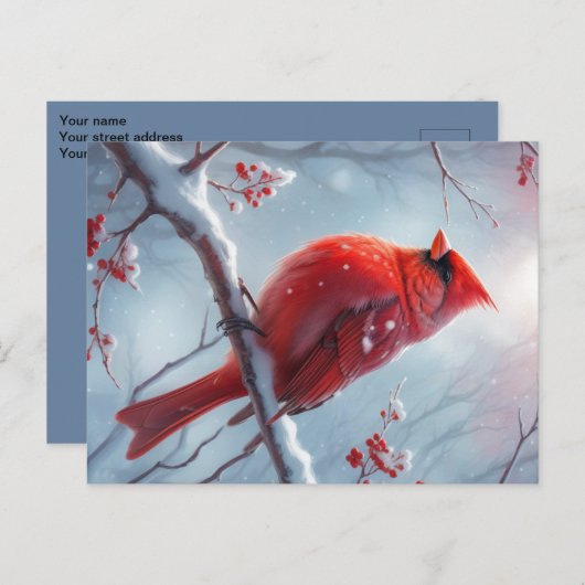 クリスマスパーソナライズされた(鳥)ショウジョウコウカンチョウはがき、はがき ポストカード (正面/裏面)