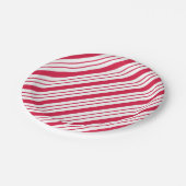 クリスマスパーティー ペッパーミント キャンディーケーン 紙皿 (アングル)