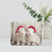 クリスマスヒツジ シーズンポストカード (スタンド正面)