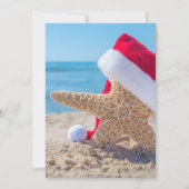 クリスマスヒトデ事業 (正面)