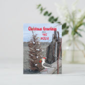 クリスマスビーチシーンフォトシーガルドリフトウッドおもしろい シーズンポストカード (スタンド正面)