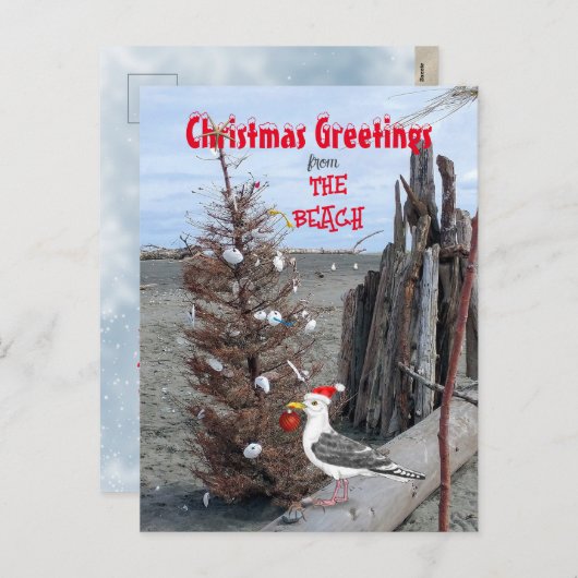クリスマスビーチシーンフォトシーガルドリフトウッドおもしろい シーズンポストカード (正面/裏面)
