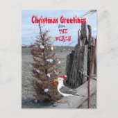 クリスマスビーチシーンフォトシーガルドリフトウッドおもしろい シーズンポストカード (正面)