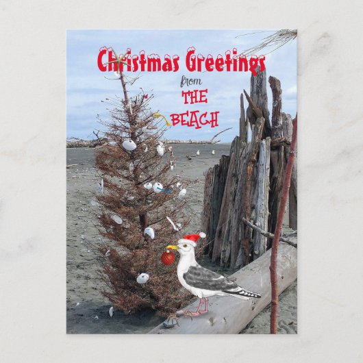 クリスマスビーチシーンフォトシーガルドリフトウッドおもしろい シーズンポストカード (正面)