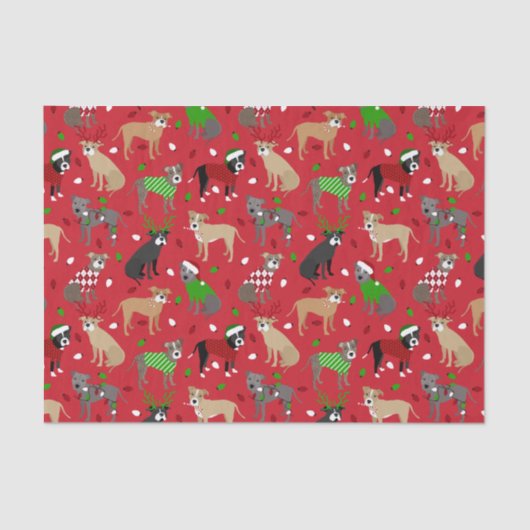 クリスマスピットブルドッグ 薄葉紙 (正面)