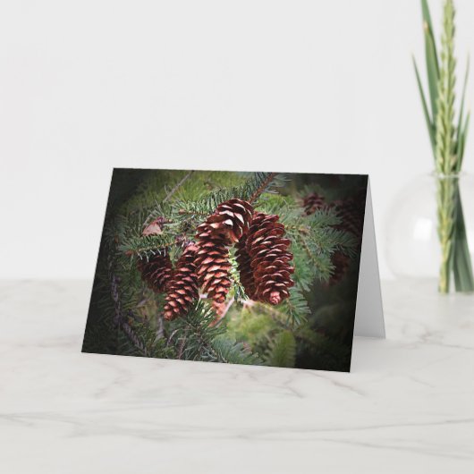 クリスマスピネコーンアレンジメントハッピーホリデーズカード シーズンカード (正面)