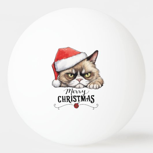 クリスマスピンポンボール用サンタハット付き猫 卓球ボール (正面)