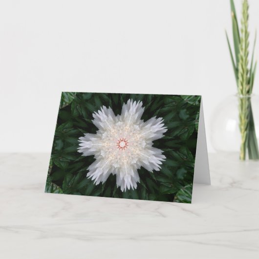 クリスマスピーニー万華鏡のように千変万化するパターン シーズンカード (正面)