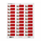 クリスマスファミリーカスタム写真モダン赤金ゴールド ラベル (フルシート)