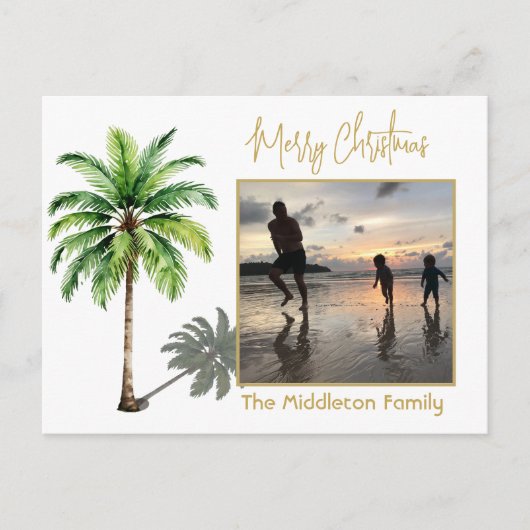 クリスマスファミリーフォトトロピカルパームツリーポストカード シーズンポストカード (正面)