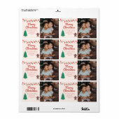 クリスマスファミリーフォトメリークリスマスアドレス ラベル (フルシート)