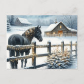 クリスマスファームで美しい黒馬 シーズンポストカード (正面)