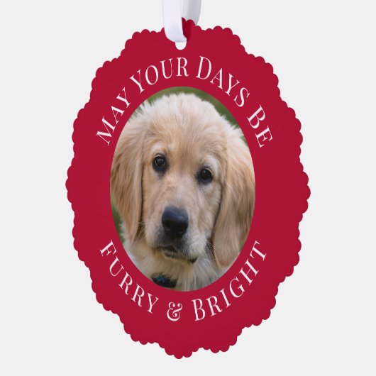 クリスマスファーリーブライトペットフォトレッドホリデー オーナメントカード (左)