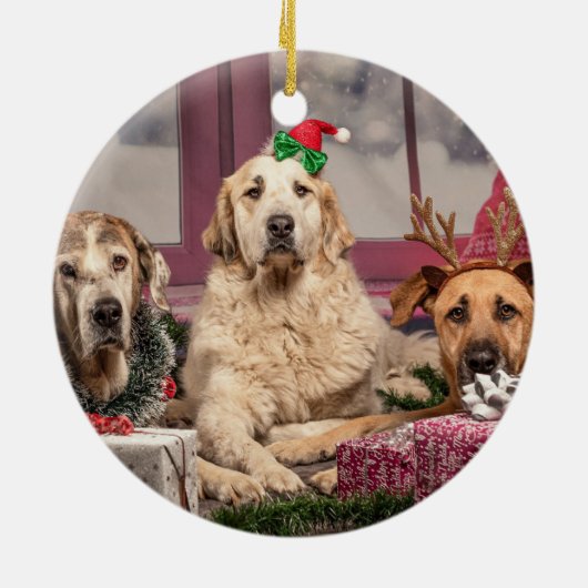 クリスマスフォトギフト – アンダーソンタータンチェックコラージュ セラミックオーナメント (裏面)