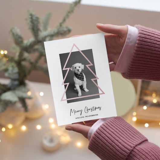 クリスマスフォト |バラ金ゴールドクリスマスツリー