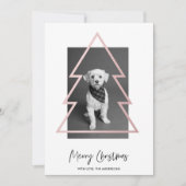 クリスマスフォト |バラ金ゴールドクリスマスツリー (正面)