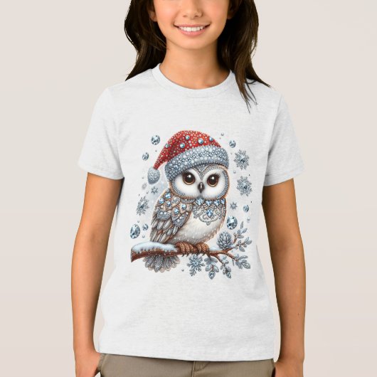 クリスマスフクロウの休日Tシャツ トライブレンドＴシャツ (正面)