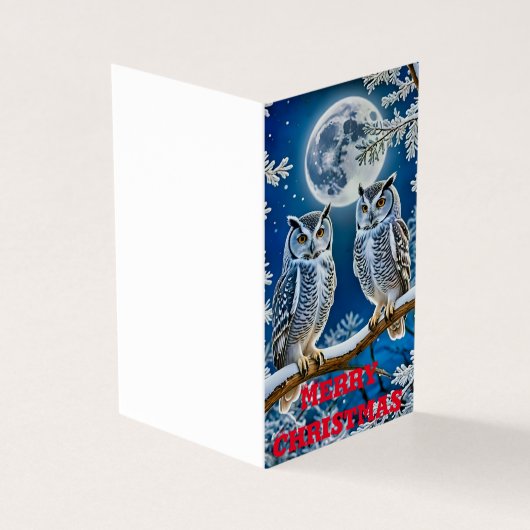 クリスマスフクロウ (外部)