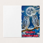 クリスマスフクロウ (外部フラット)