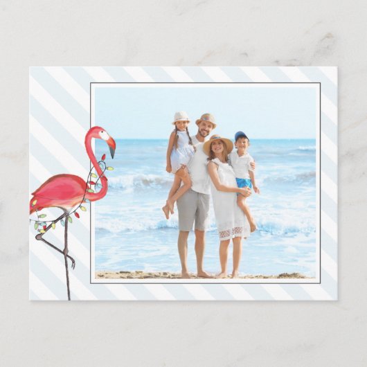 クリスマスフラミンゴホリデーライツバジェット写真 シーズンポストカード (正面)