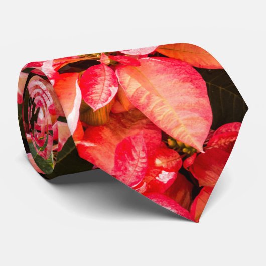 クリスマスフラワーポインセチア ネクタイ (ロール)