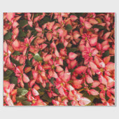 クリスマスフラワーポインセチア ラッピングペーパー (フラット)