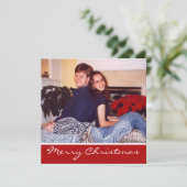 クリスマスフラワー シーズンカード (スタンド正面)