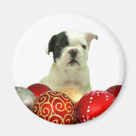 クリスマスフランスのブルドッグの子犬 マグネット (正面)