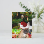 クリスマスフランスのブルドッグ シーズンポストカード (スタンド正面)