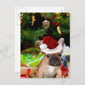 クリスマスフランスのブルドッグ シーズンポストカード (正面/裏面)