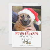 クリスマスフロムドッグホリデーカード シーズンカード (正面)